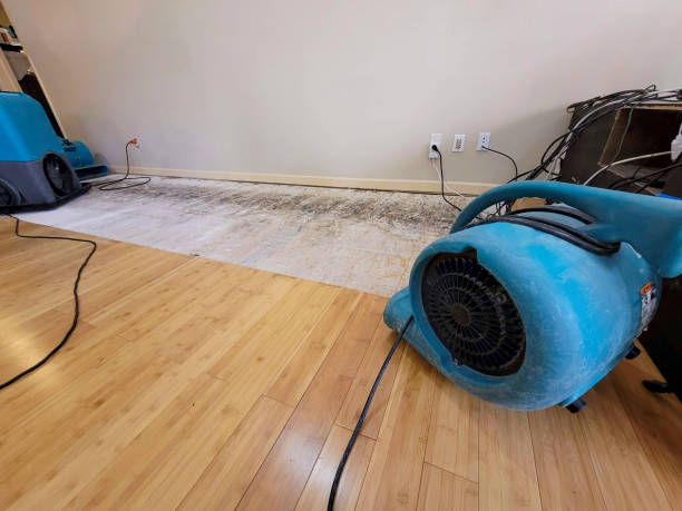 Professional Emergency Water Damage technician working in Paramount, CA
